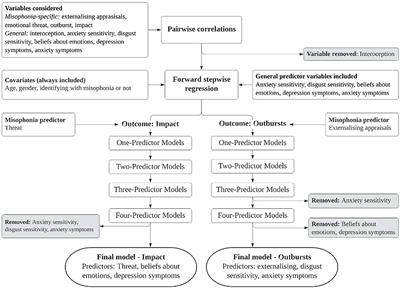 Emotion Processes Predicting Outbursts and Functional Impact in Misophonia